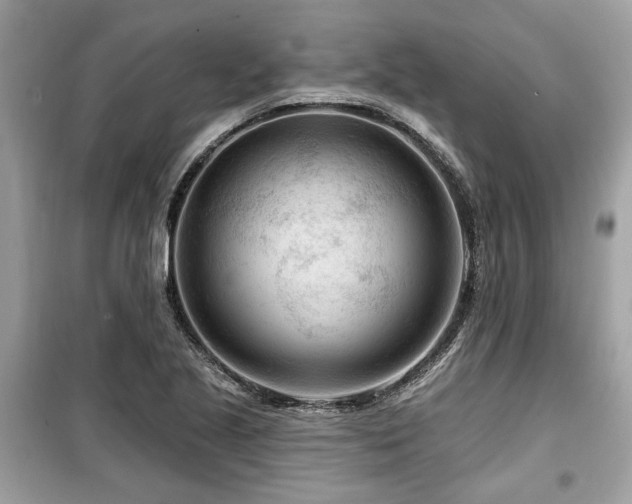 X0000099561221200805161444