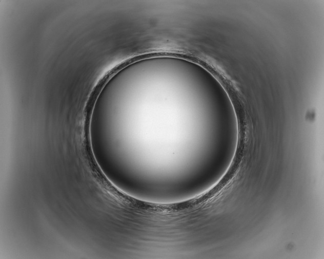 X0000099561222200805161444