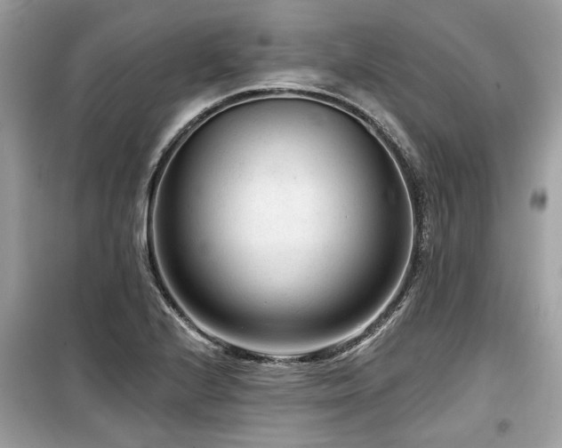 X0000099561224200805161444