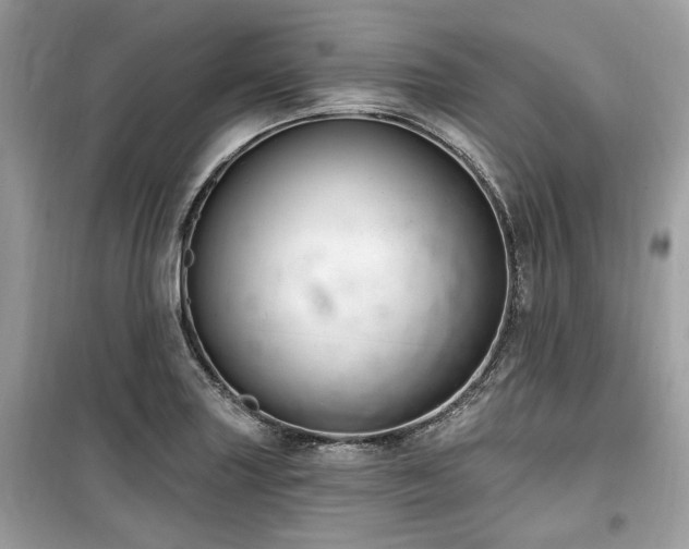 X0000099561227200805161444