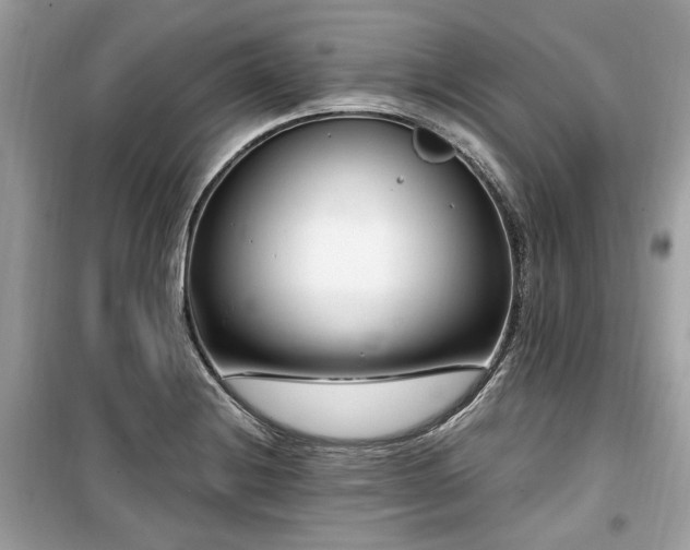 X0000099561228200805161444
