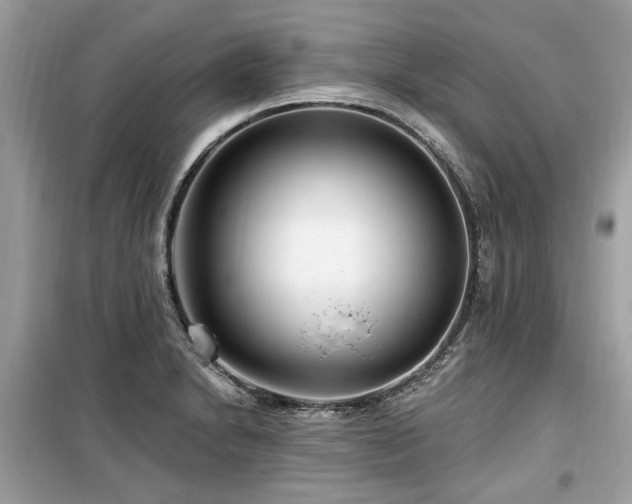 X0000099561230200805161444