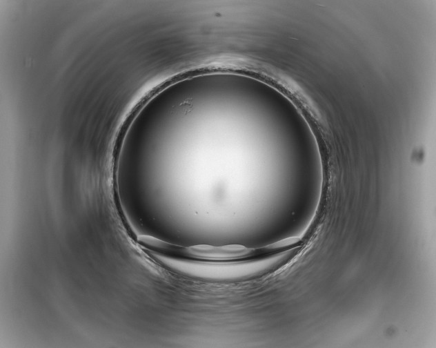X0000099561232200805161444
