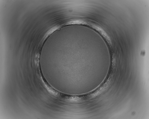 X0000099561233200805161444