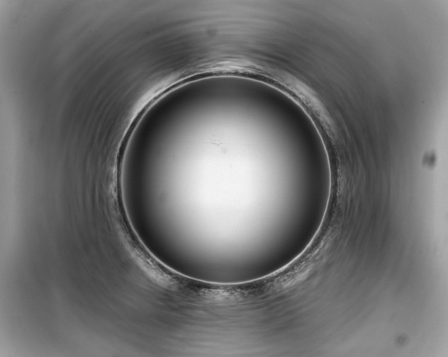 X0000099561234200805161444
