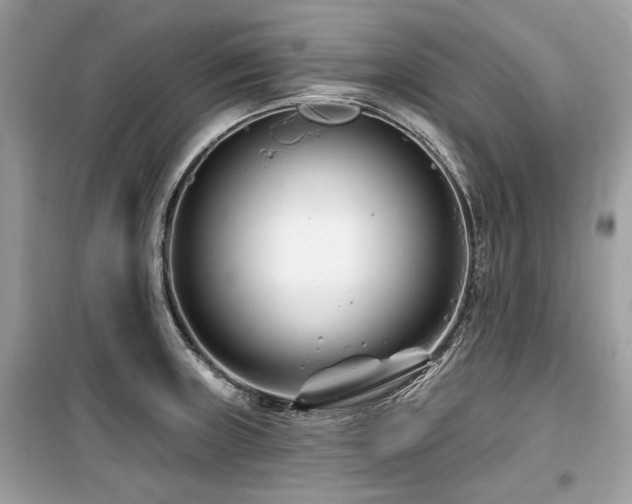 X0000099561235200805161444