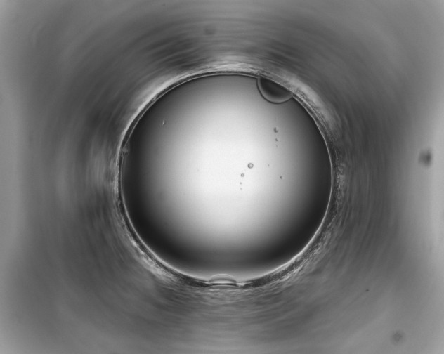 X0000099561236200805161444
