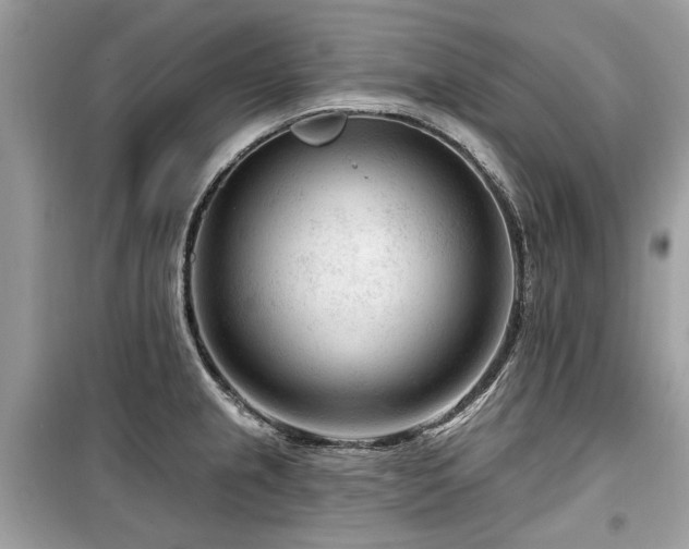 X0000099561237200805161444
