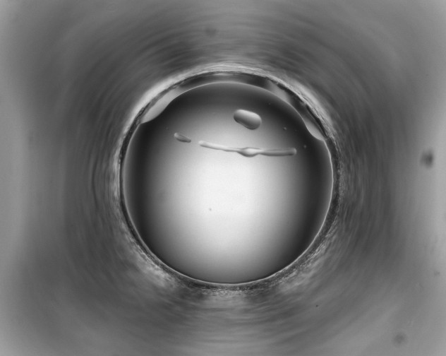 X0000099561238200805161444