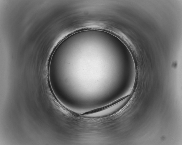 X0000099561240200805161444