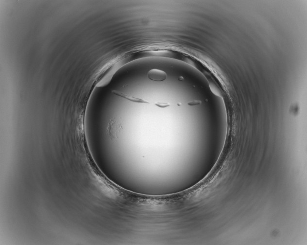 X0000099561241200805161444