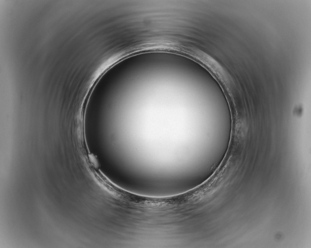 X0000099561242200805161444