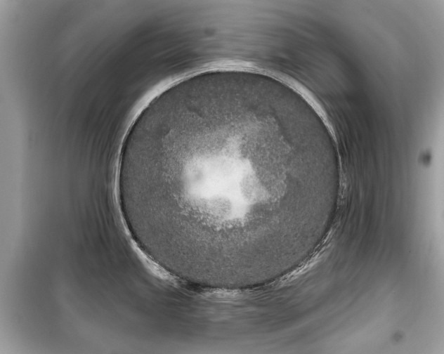 X0000099561245200805161444