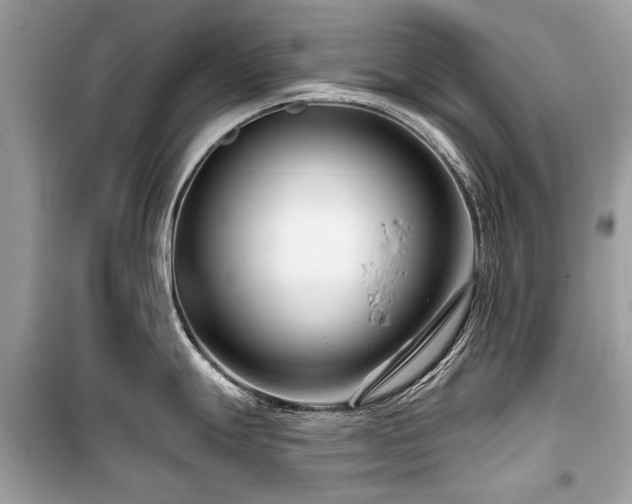 X0000099561247200805161444
