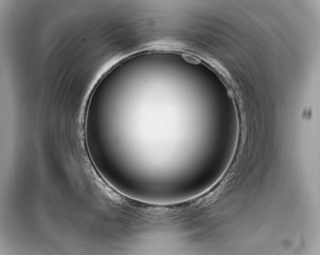 X0000099561248200805161444