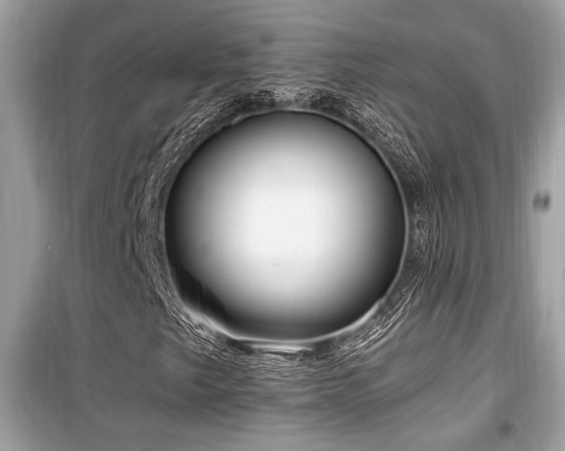 X0000099561249200805161444