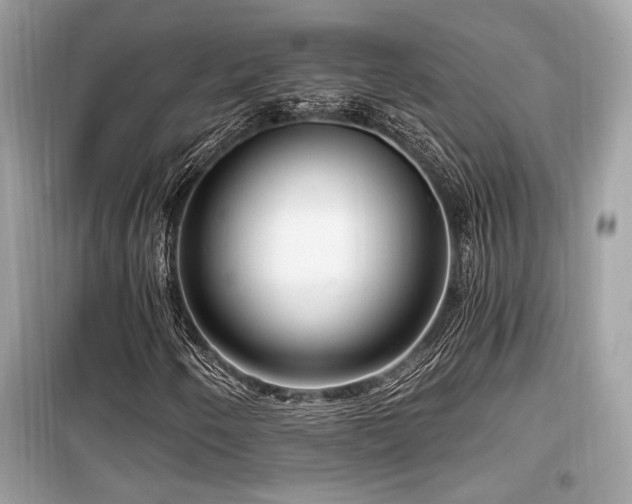 X0000099561250200805161443