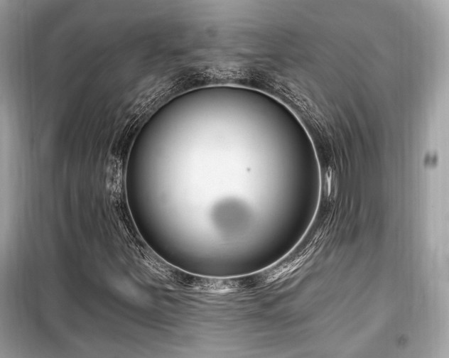 X0000099561251200805161443