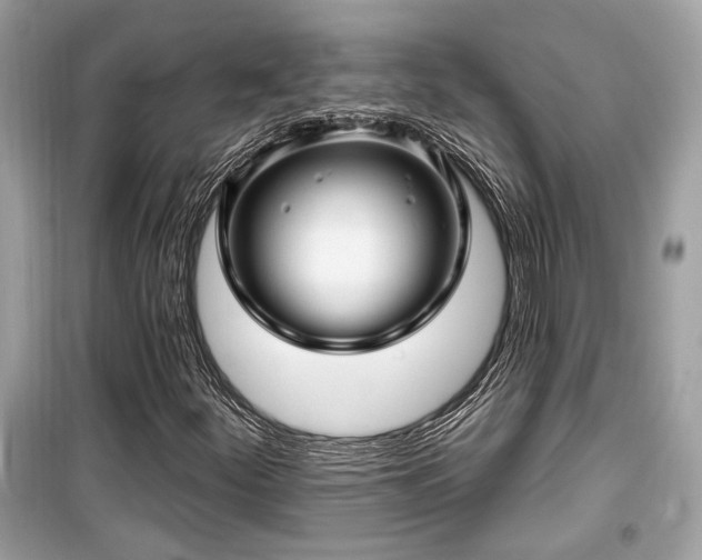 X0000099561252200805161443