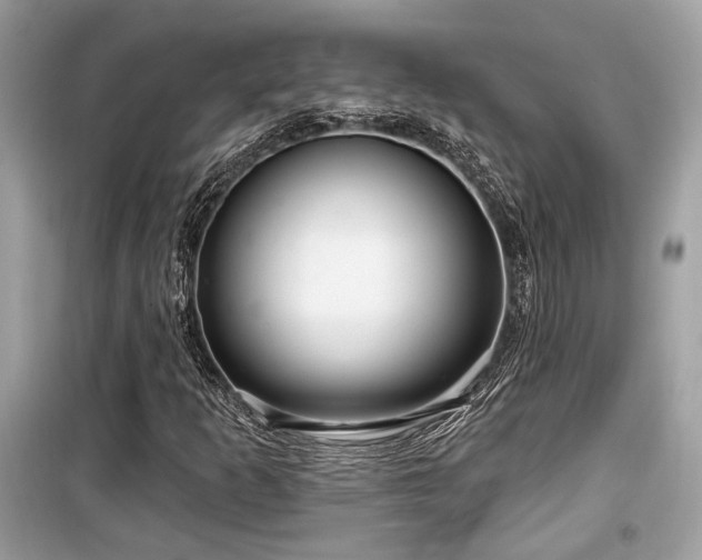 X0000099561253200805161443