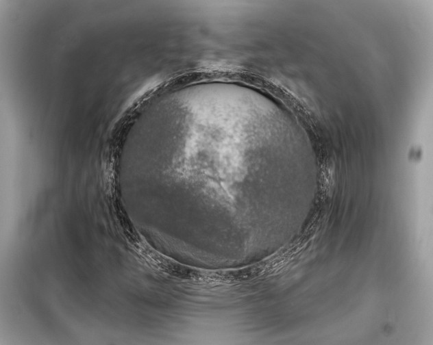 X0000099561254200805161443