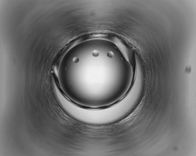 X0000099561257200805161443