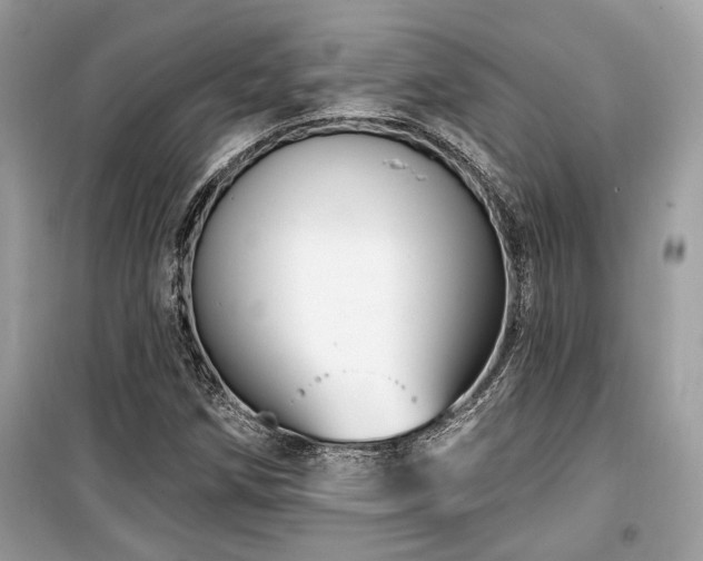 X0000099561258200805161443