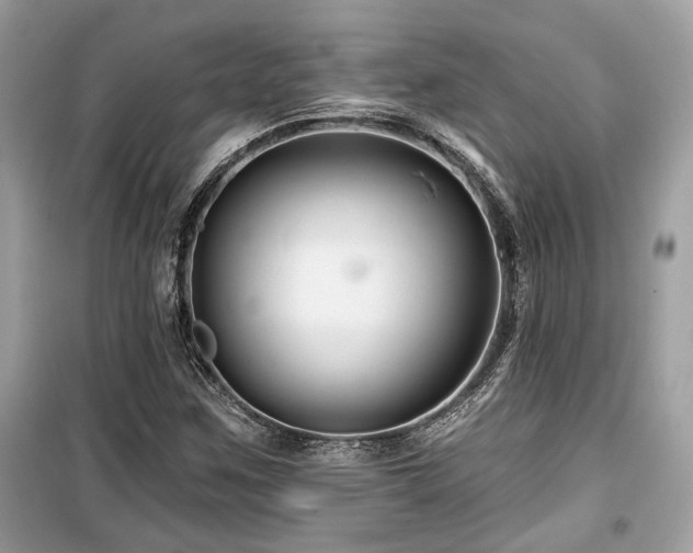 X0000099561259200805161443