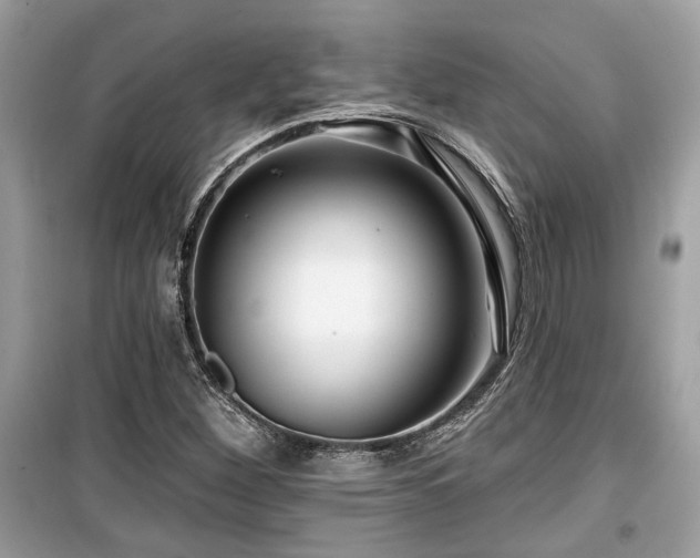 X0000099561260200805161443