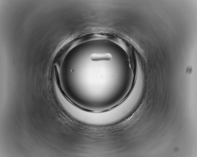 X0000099561261200805161443