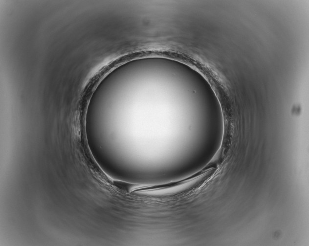 X0000099561262200805161443