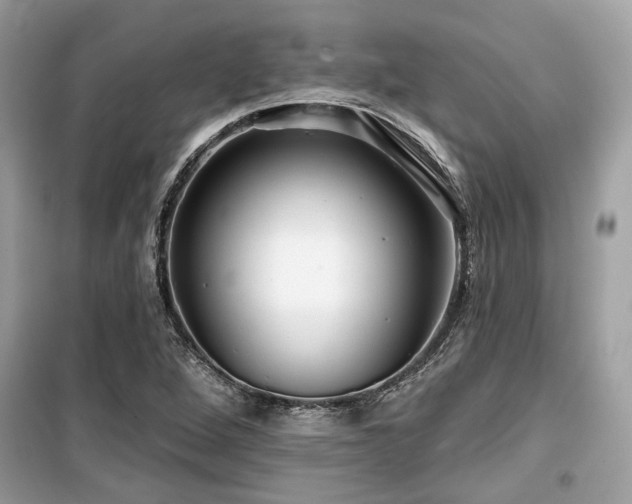 X0000099561264200805161443
