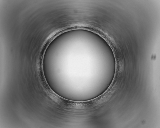 X0000099561266200805161443