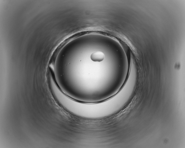 X0000099561268200805161443