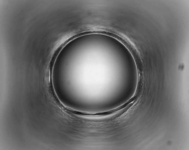 X0000099561269200805161443