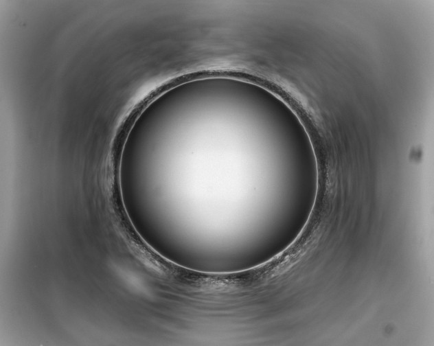 X0000099561270200805161443