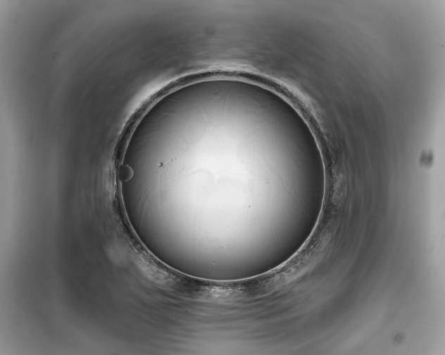 X0000099561271200805161443