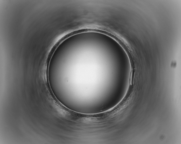 X0000099561272200805161443