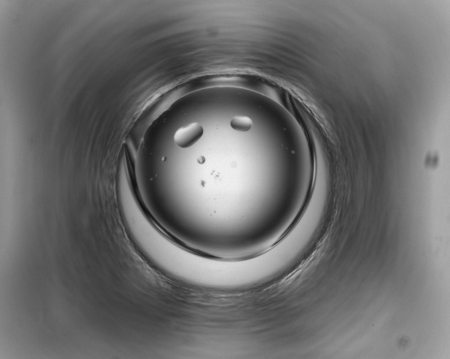 X0000099561273200805161443