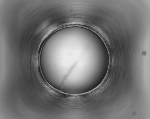 X0000099561274200805161443