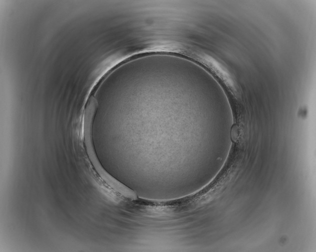 X0000099561276200805161443