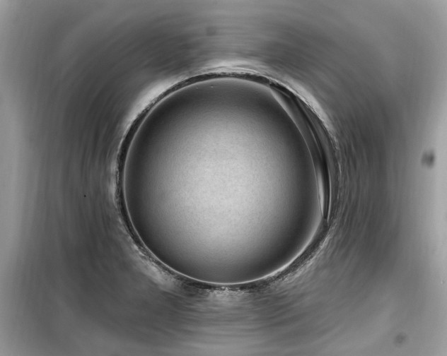 X0000099561277200805161443