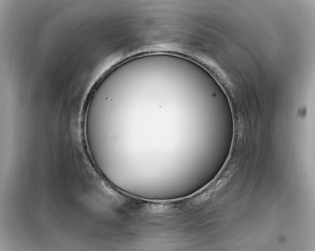 X0000099561278200805161443