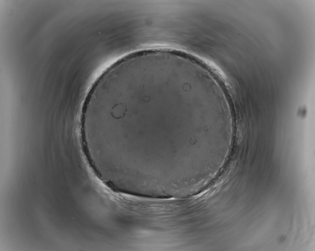 X0000099561279200805161443