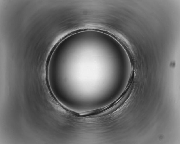 X0000099561280200805161443