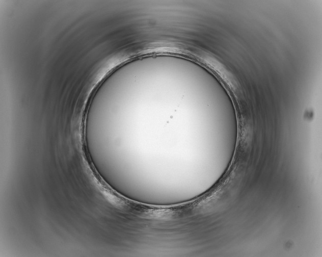 X0000099561282200805161443