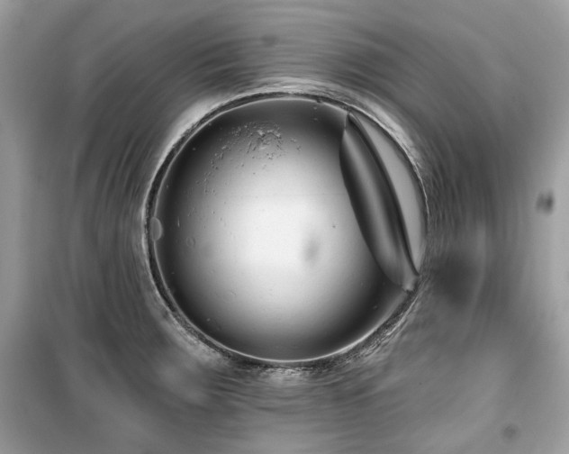 X0000099561283200805161443