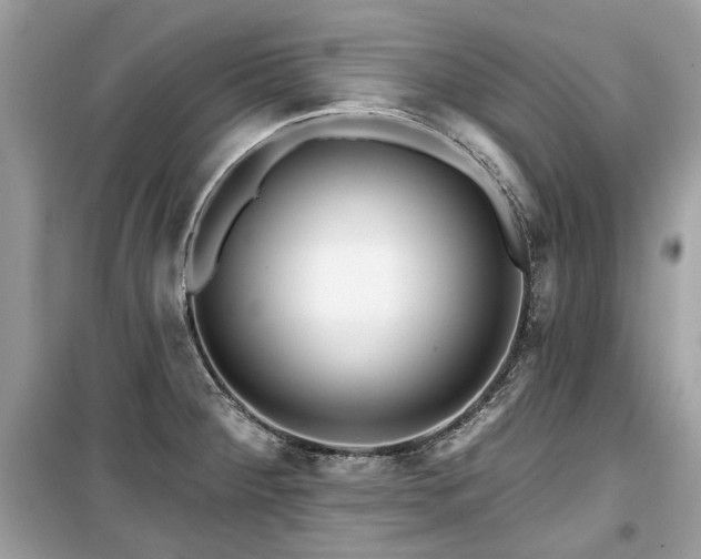 X0000099561284200805161443