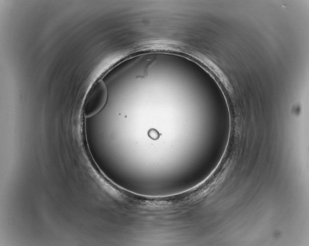 X0000099561285200805161443