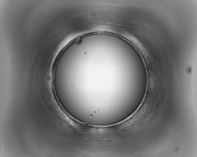 X0000099561286200805161443